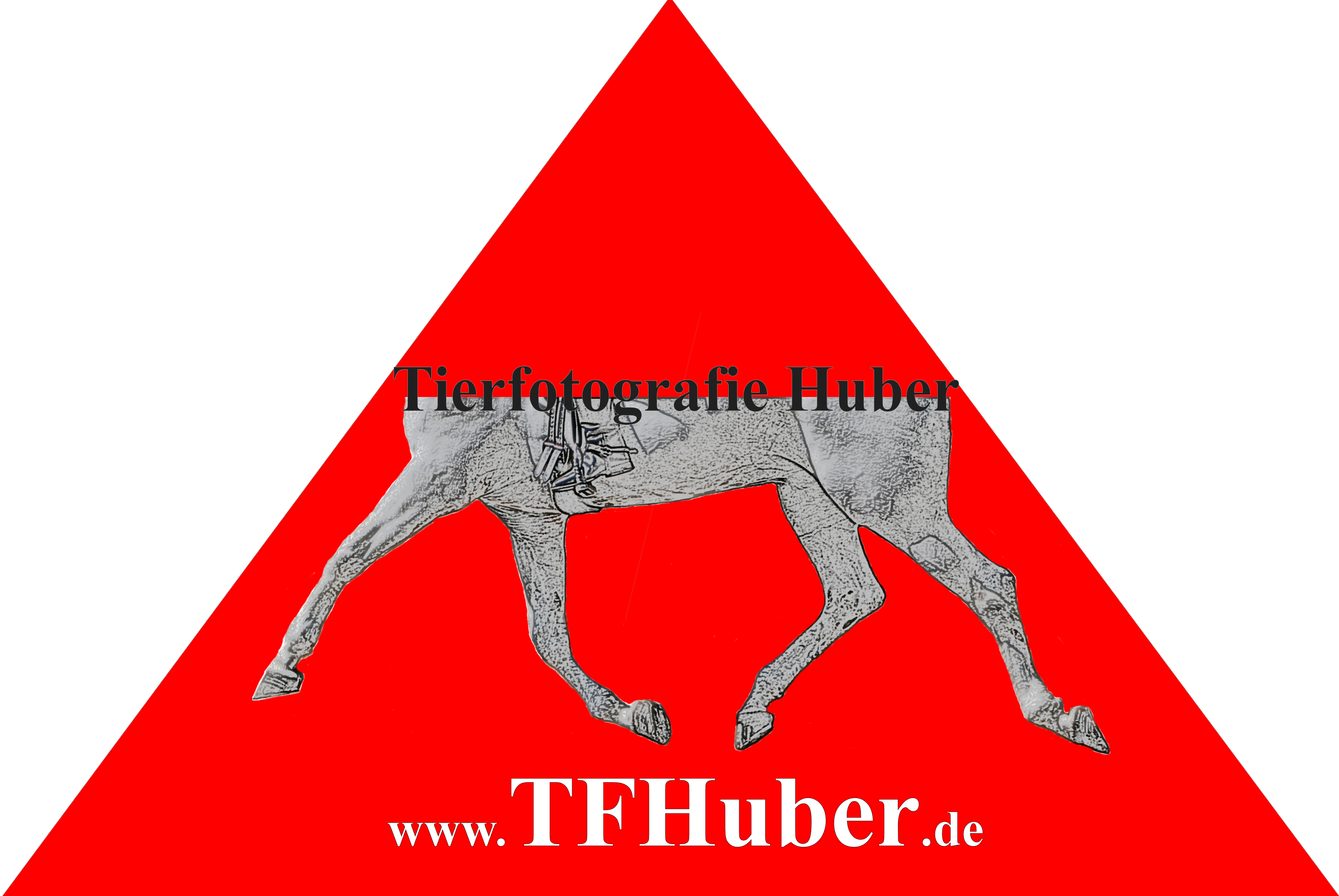 Logo dreieck.tfhuber-weiß.jpg